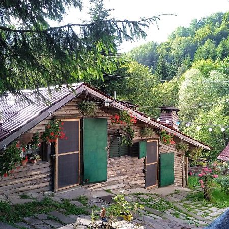 Ferienwohnung Zimska Idila Crni Vrh Exterior foto