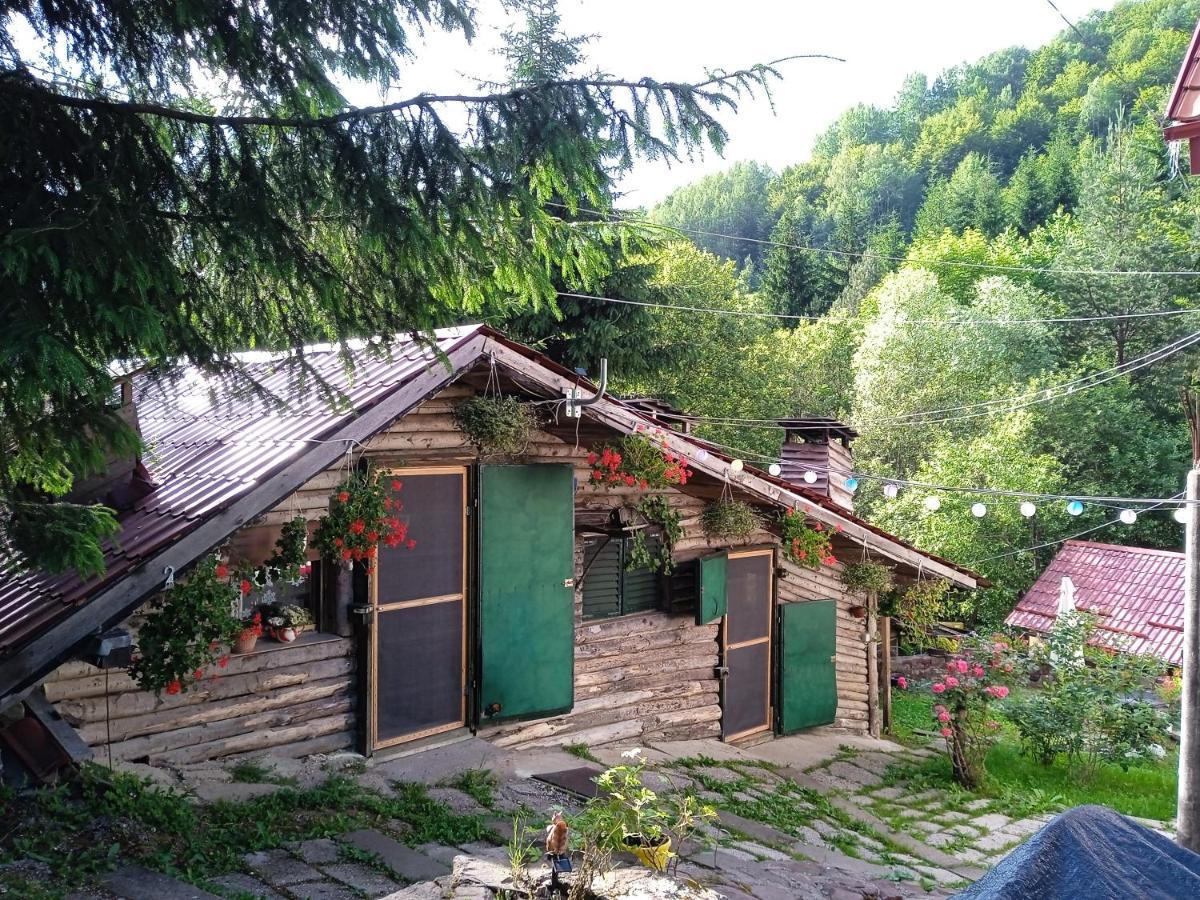 Ferienwohnung Zimska Idila Crni Vrh Exterior foto