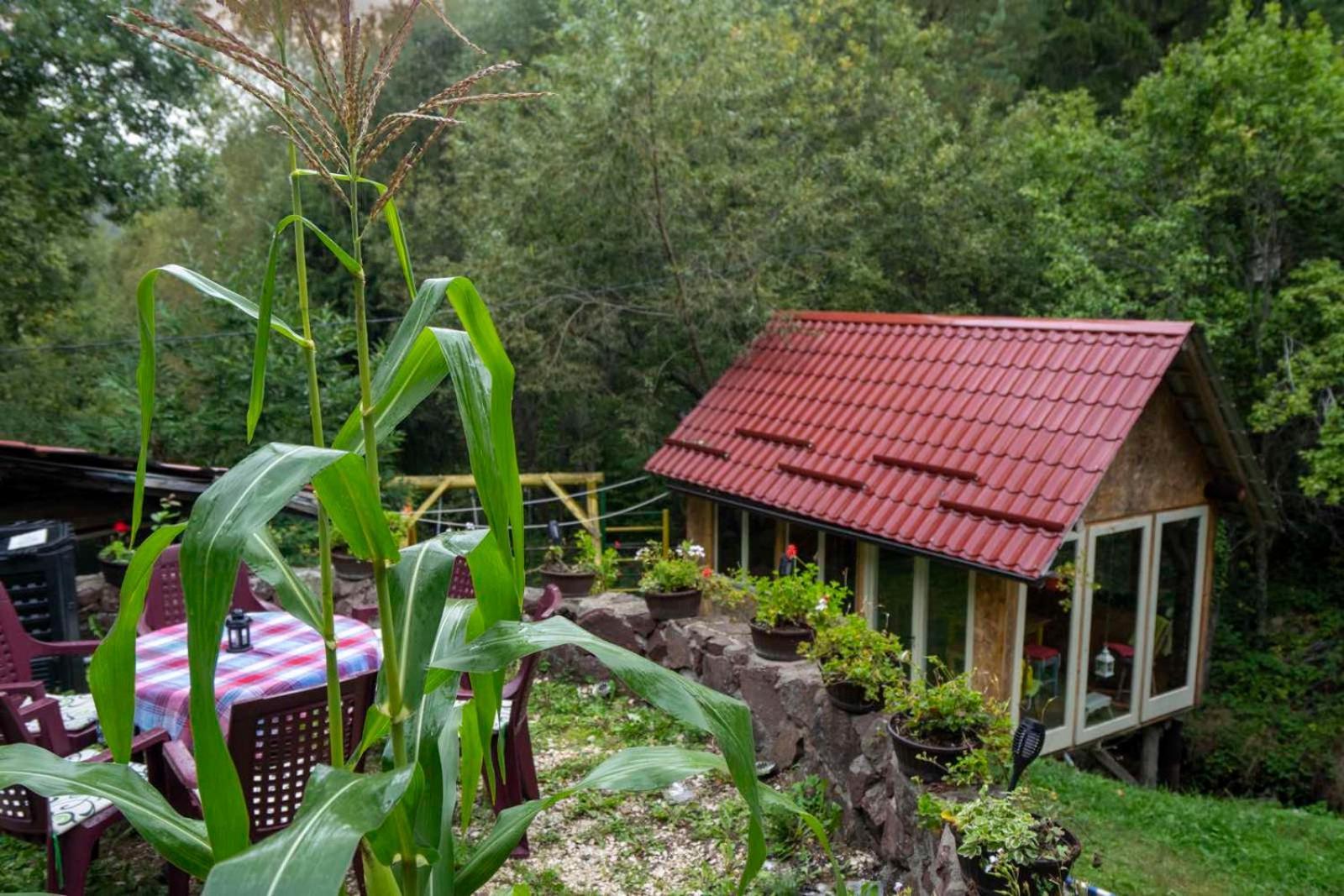 Ferienwohnung Zimska Idila Crni Vrh Exterior foto